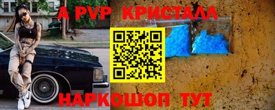 тгк Бийск