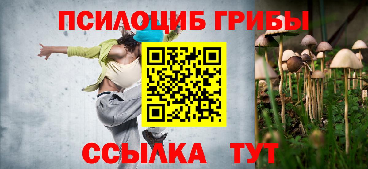 Канаш  Галлюциногенные грибы Cubensis  закладка  Вход с VPN 