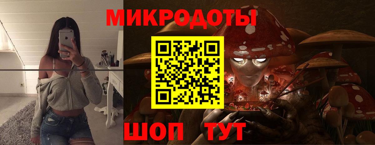 Псилоцибиновые грибы Psilocybine cubensis Канаш